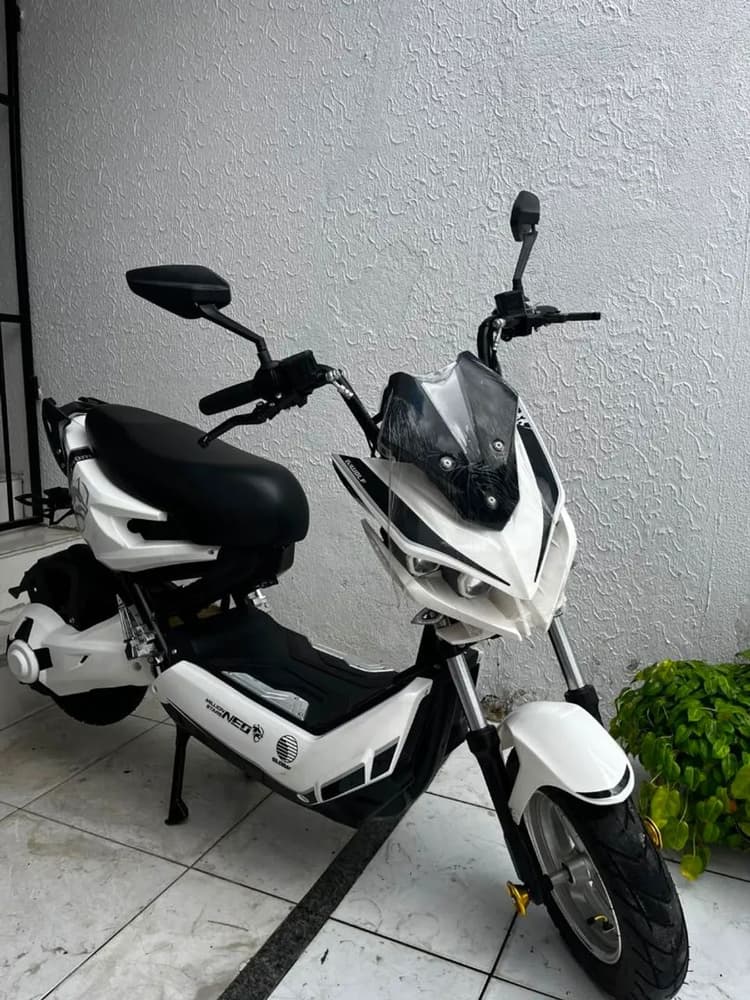 Moto eletrica