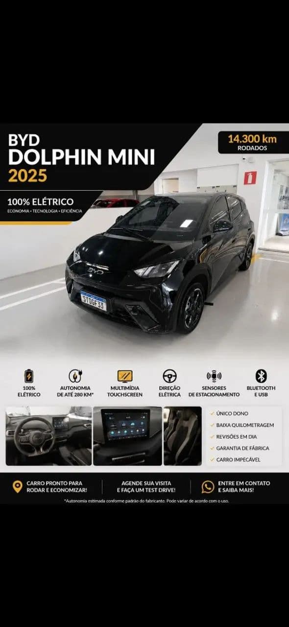 BYD Dolphin Mini (Elétrico) 2025
