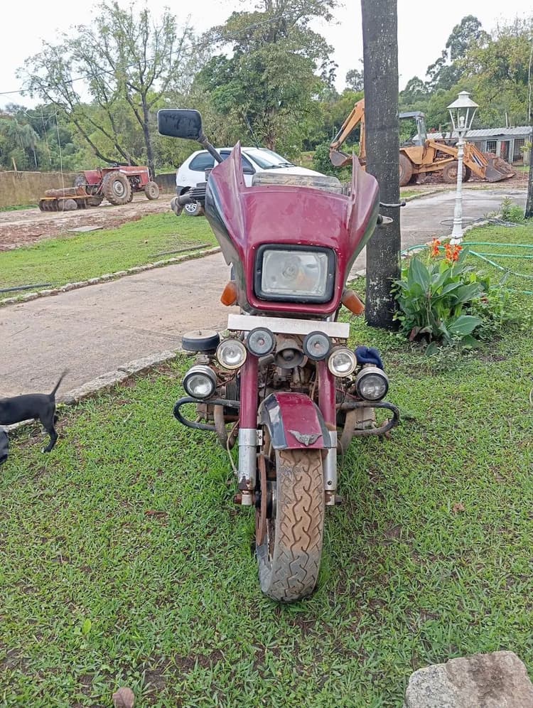 Amazonas a venda ,para restaurador 