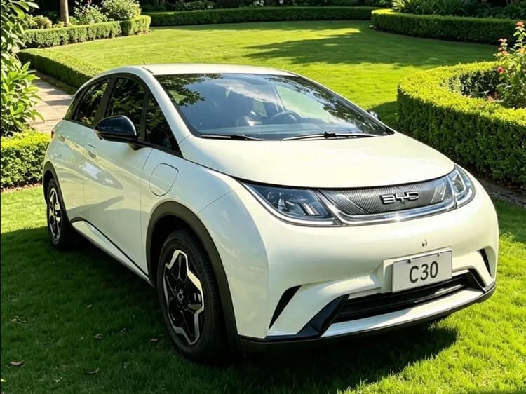 BYD Dolphin EV (Elétrico) 2024