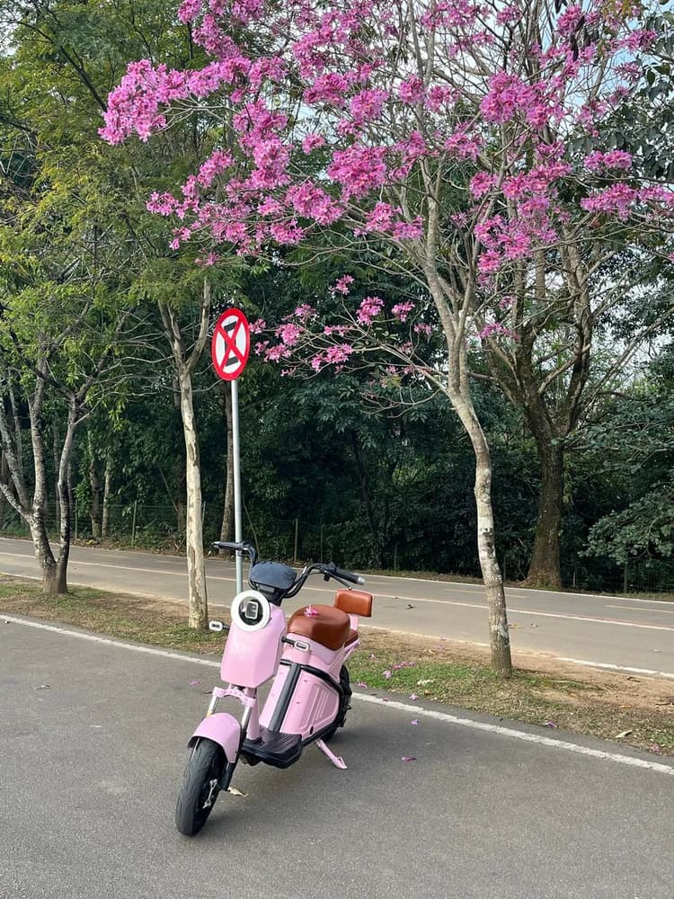 Scooter WD2