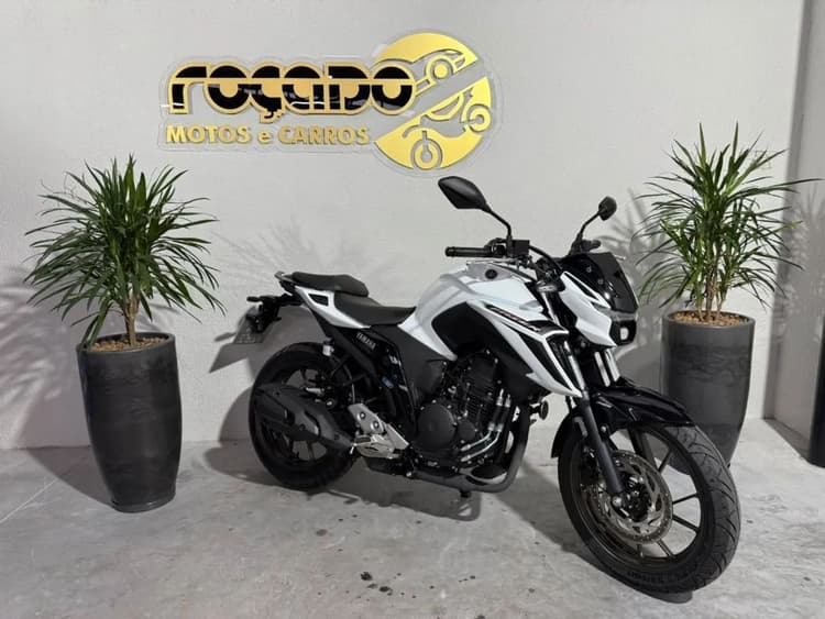 FZ250 FAZER