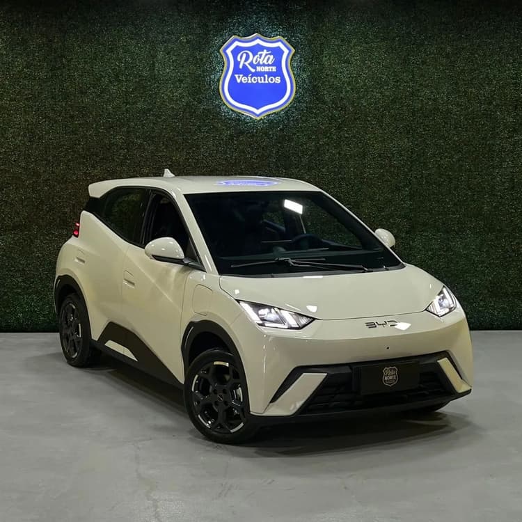 BYD Dolphin Mini (Elétrico) 2027