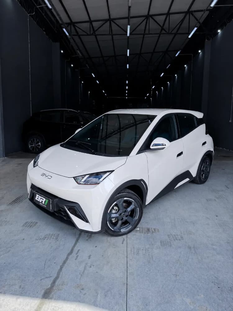 BYD Dolphin Mini (Elétrico) 2025