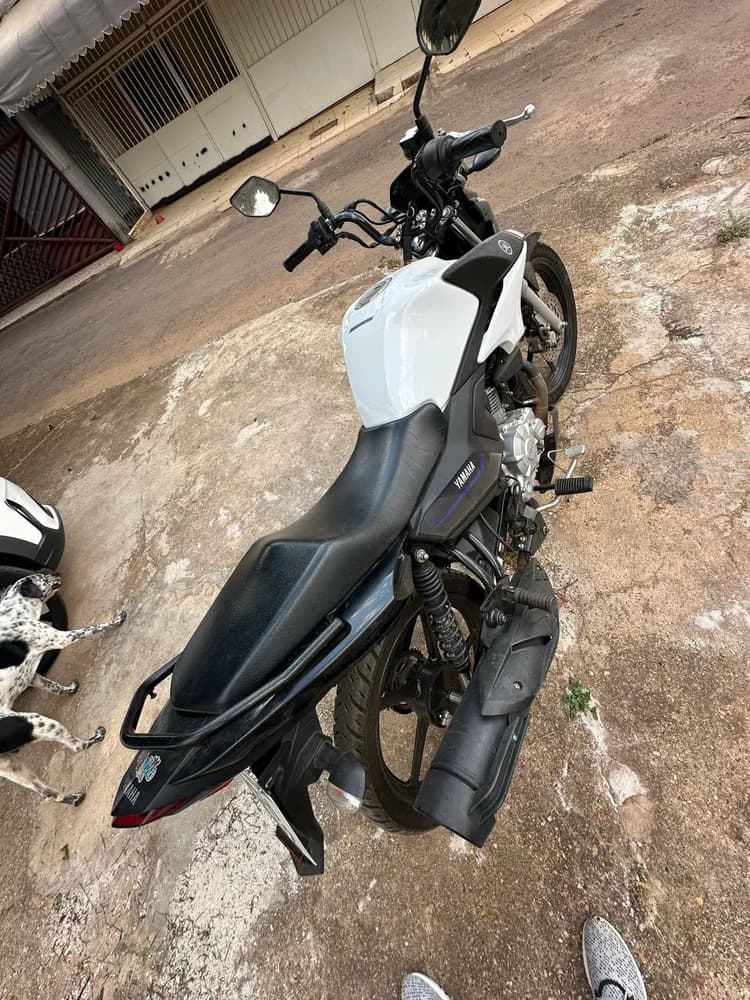 Yamaha YBR Factor DX flex 2025