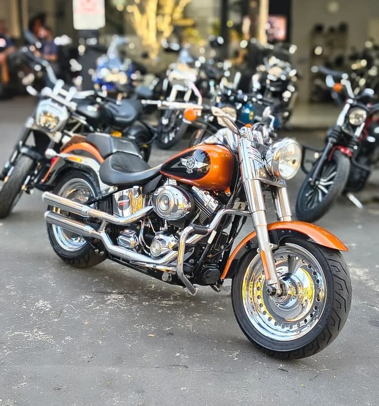 Harley Davidson Fat