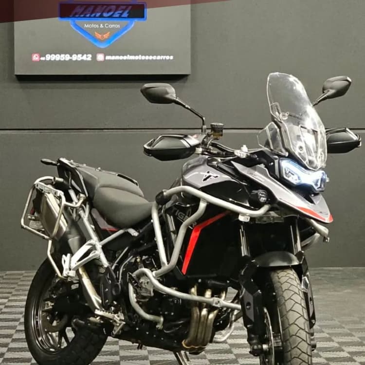 TIGER 900 GT PRO 2024 Cinza