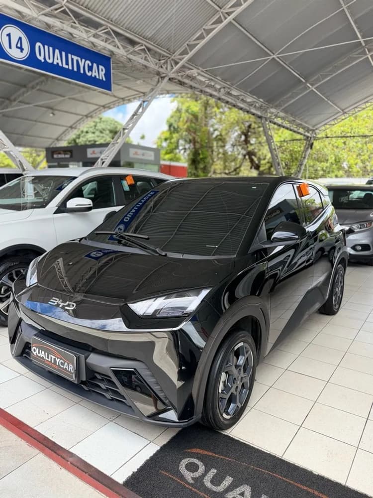 BYD Dolphin Mini GL 2026