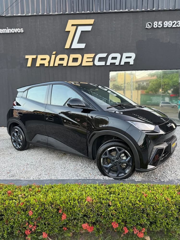 BYD Dolphin Mini (Elétrico) 2026