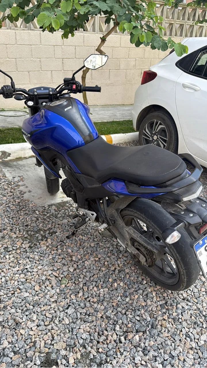Fz 15 
