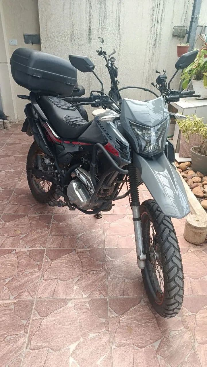 SHI 175 EFI 2024