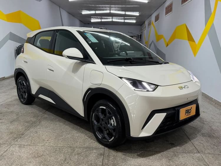 BYD Dolphin Mini (Elétrico) 2027