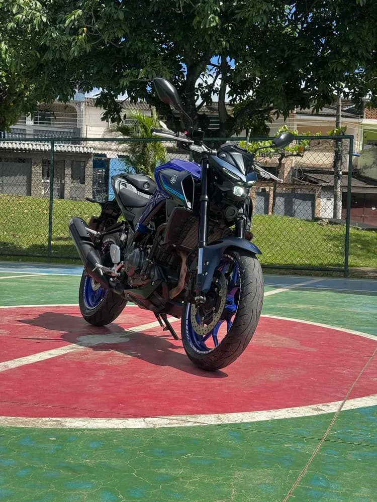 Mt03 