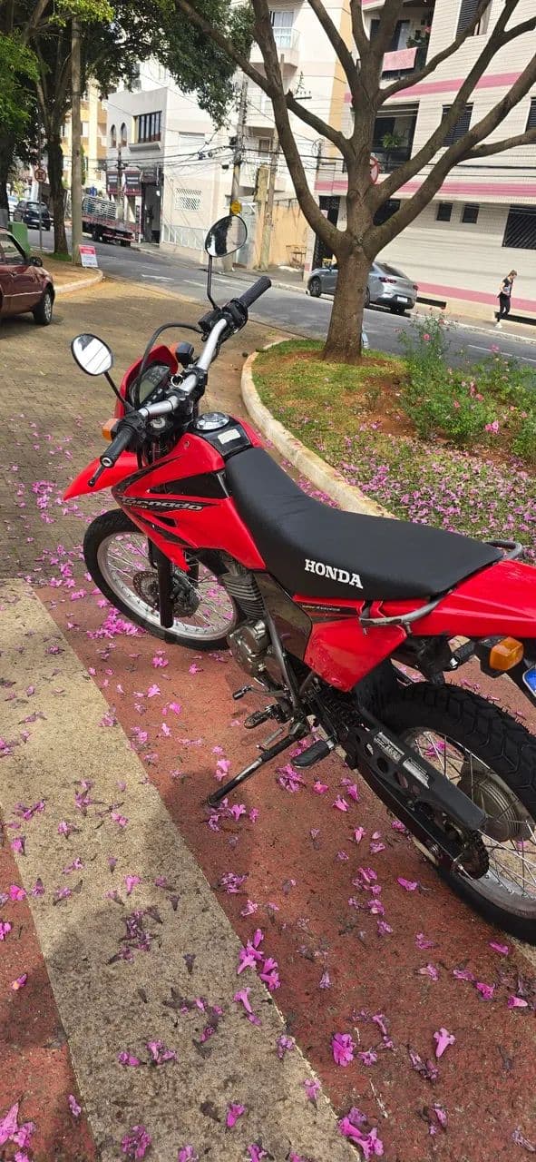 Xr 250 tornado km baixissimo