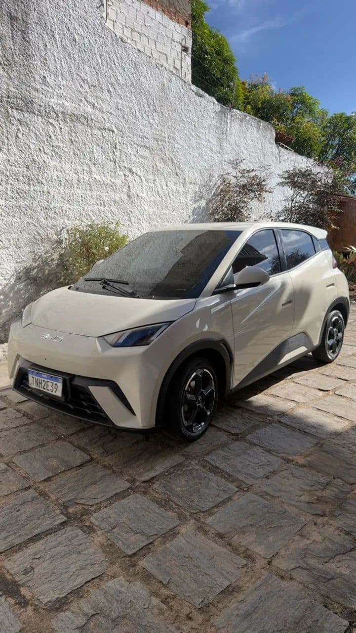BYD Dolphin Mini (Elétrico) 2025