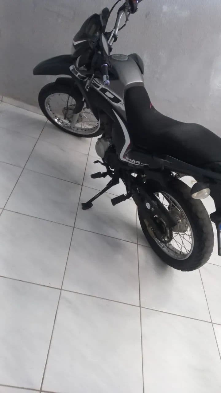 Boa 