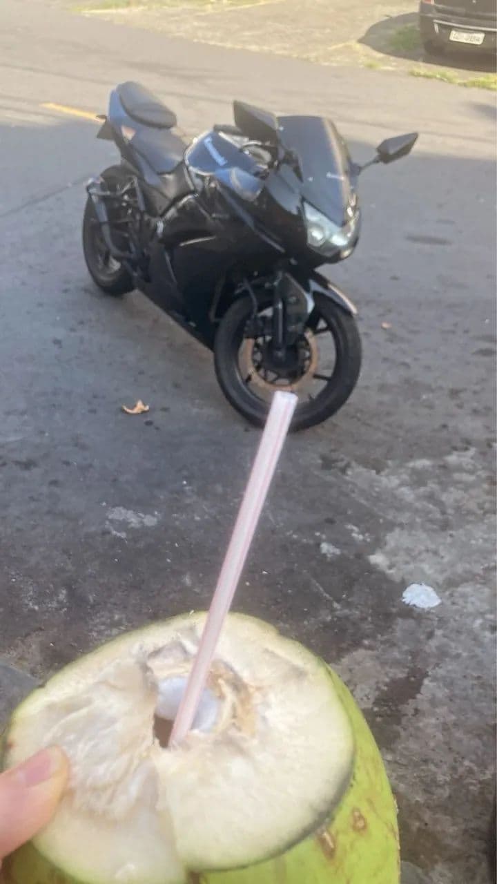 Ninja 250r 