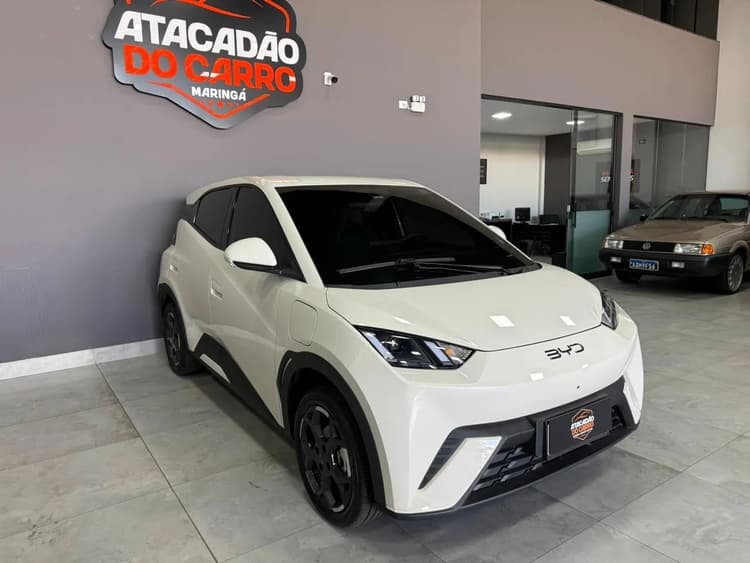 BYD Dolphin Mini (Elétrico) 2027