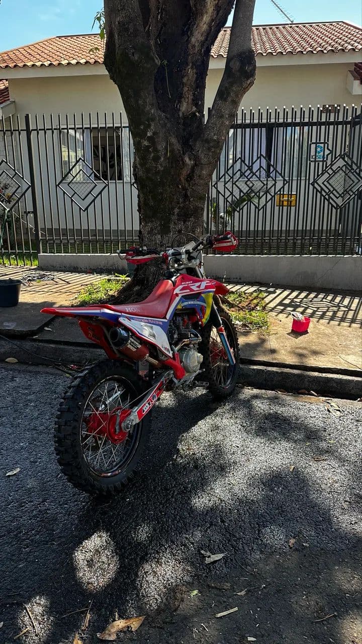 CRF 230F 2019