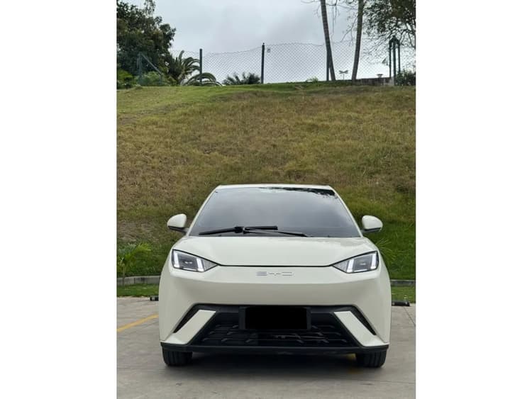 BYD Dolphin EV (Elétrico) 2024