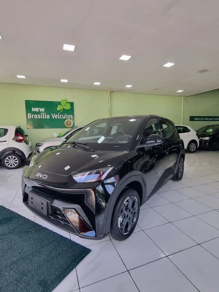 BYD Dolphin Mini GL 2026