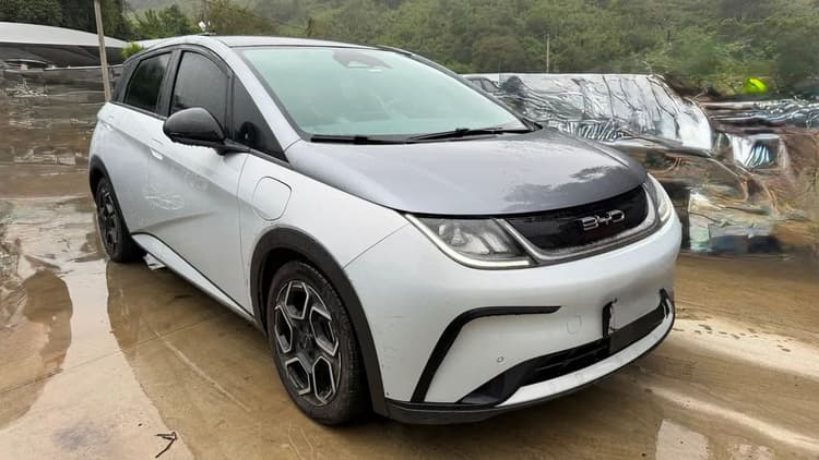 BYD Dolphin Plus (Elétrico) 2024