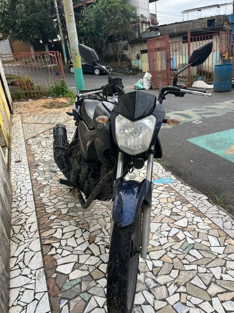 Vendo Factor 2024