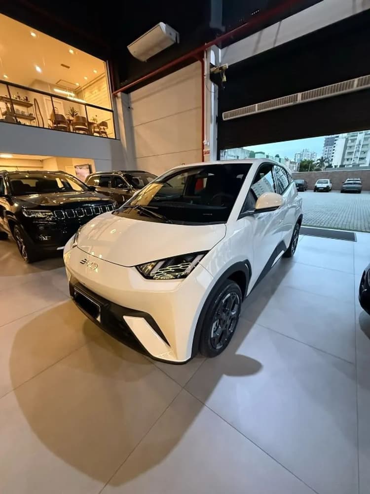 BYD Dolphin Mini (Elétrico) 2027