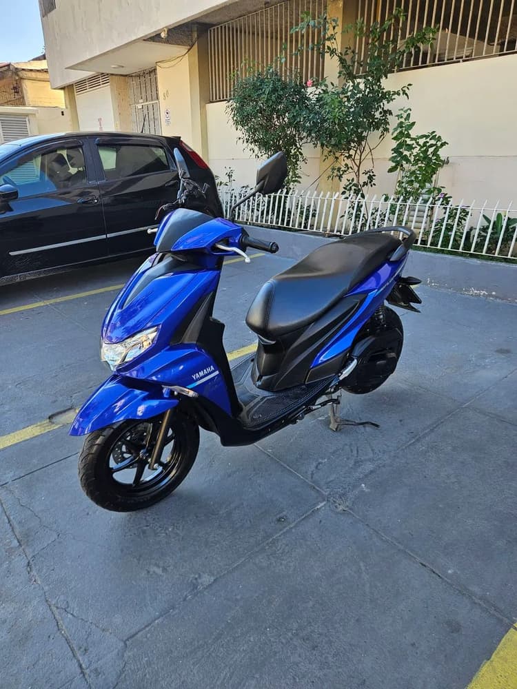 Yamaha Fluo 24/25