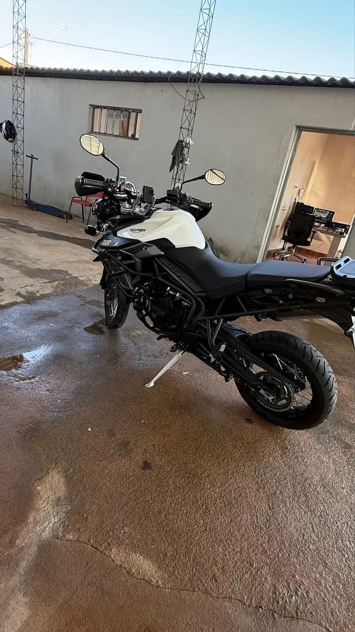 Tiger 800 xcx