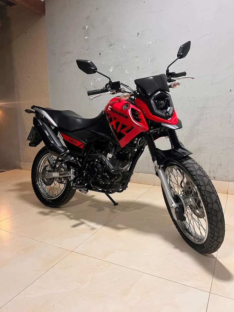 YAMAHA XTZ 150  blueflex