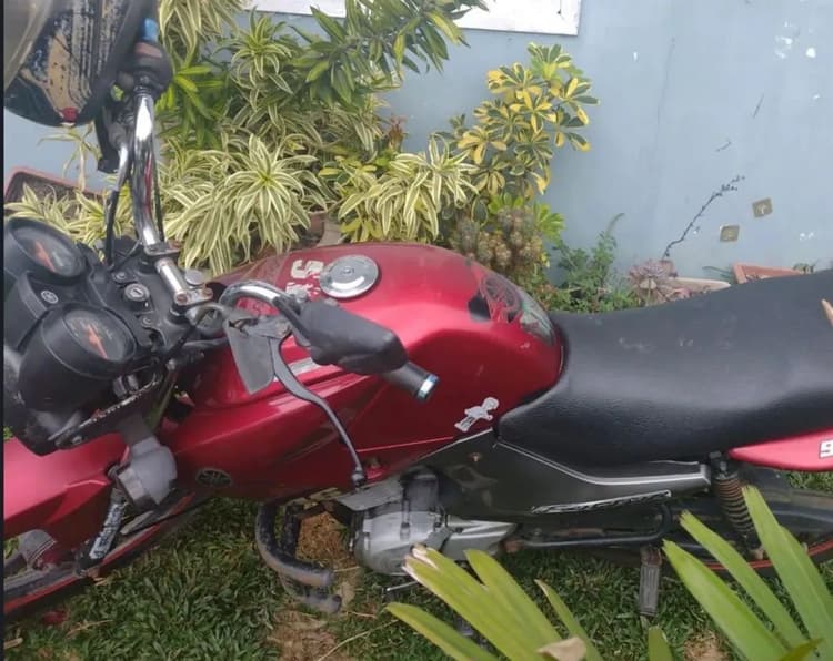 Vendo factor 2010