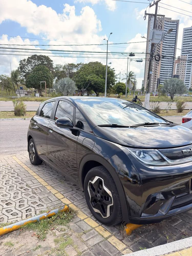 BYD Dolphin EV (Elétrico) 2024