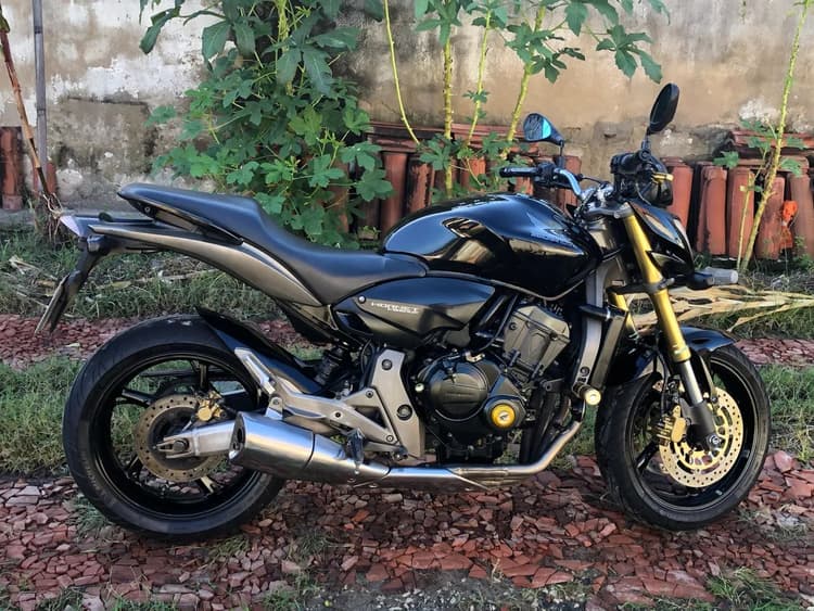 Hornet 600f