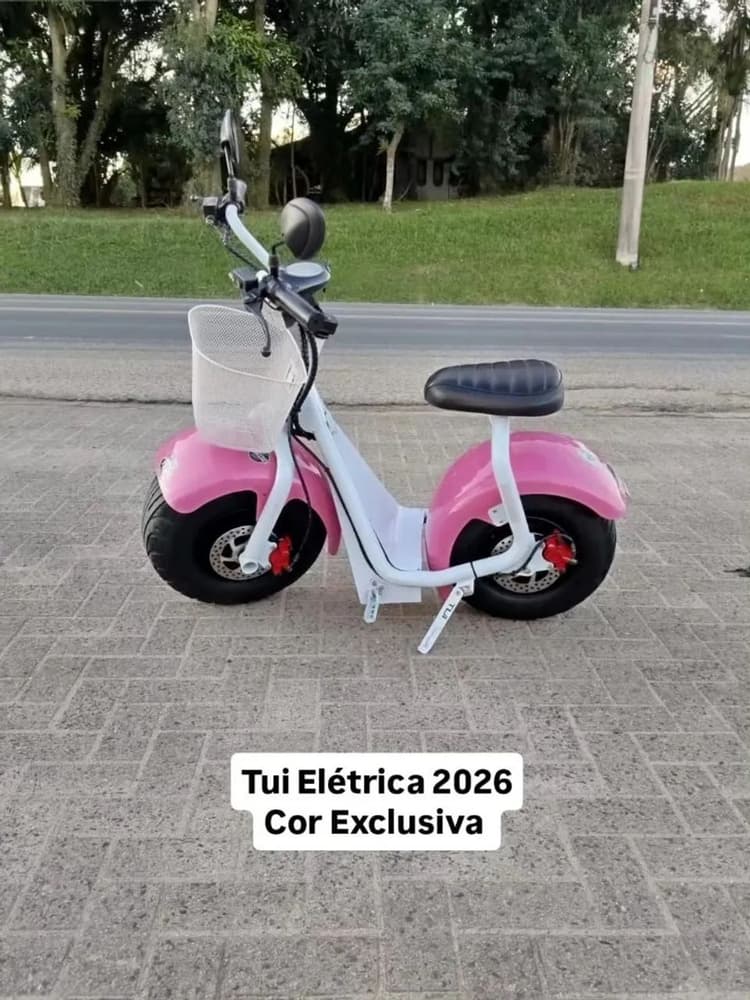 2026 Tui Mais Eletrica 
