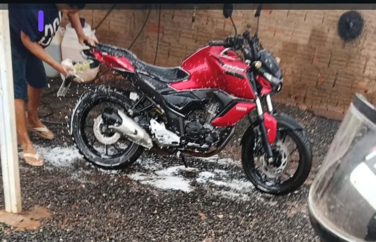 Fz15 2023