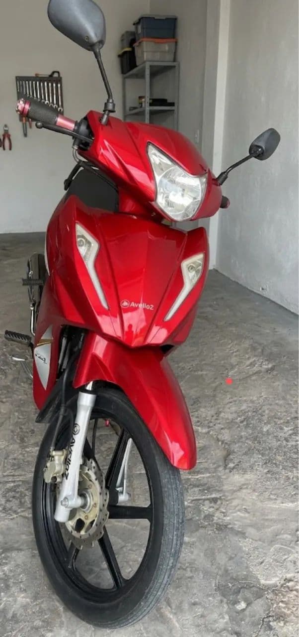 Avelloz az1 vermelho 2023