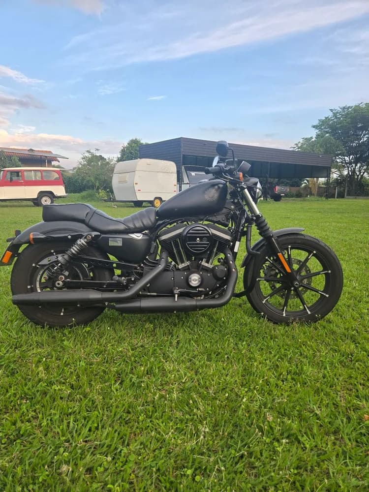 Iron 883 2010