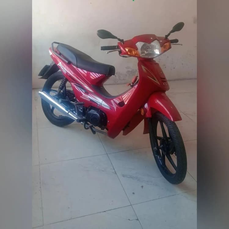 Phoenix Gold 2019 vermelha 