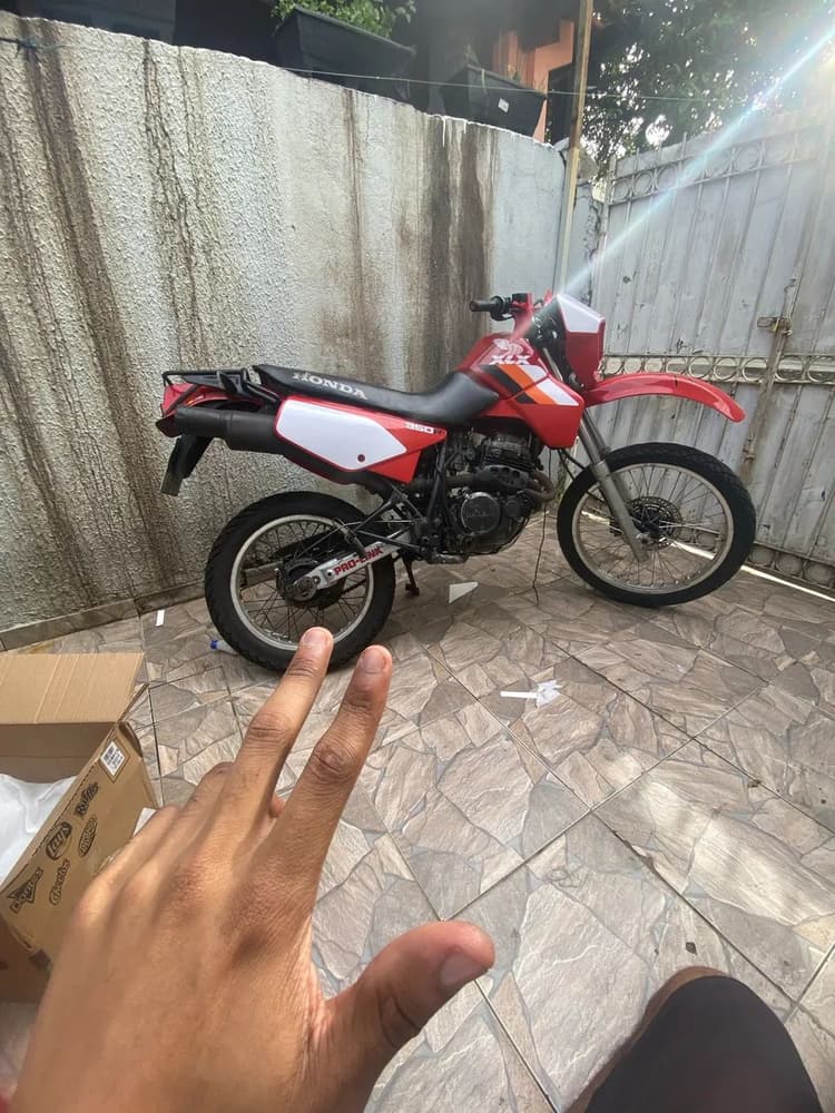 Xlx 350