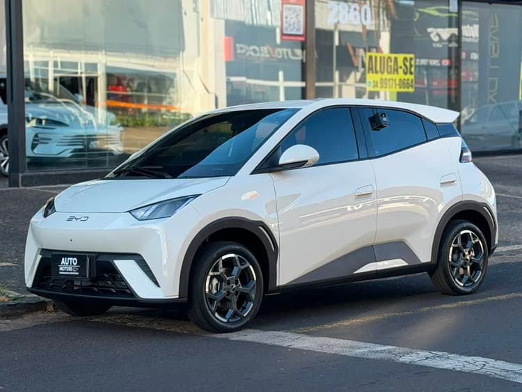 BYD Dolphin Mini (Elétrico) 2027