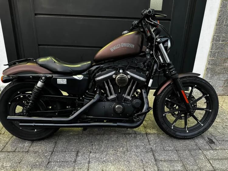 Harley  Davidson  iron 