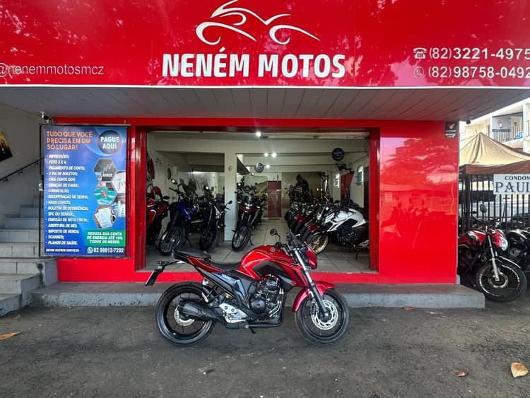 FZ 25