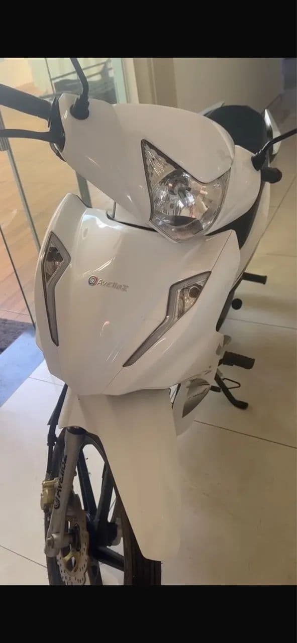 Vendo Avelloz 50