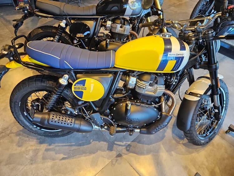BEAR 650 - 0KM - YAN