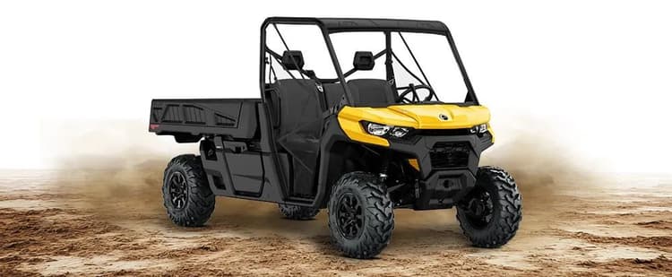 Can-Am Defender Pro DPS HD10 - 2026