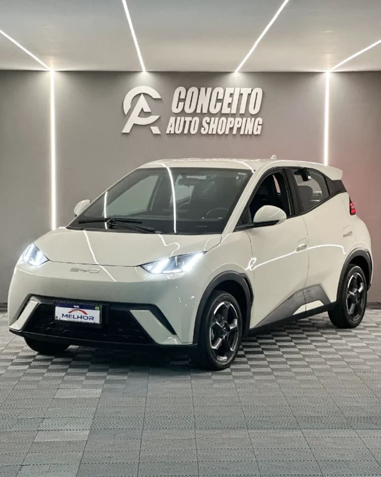 BYD Dolphin Mini (Elétrico) 2024