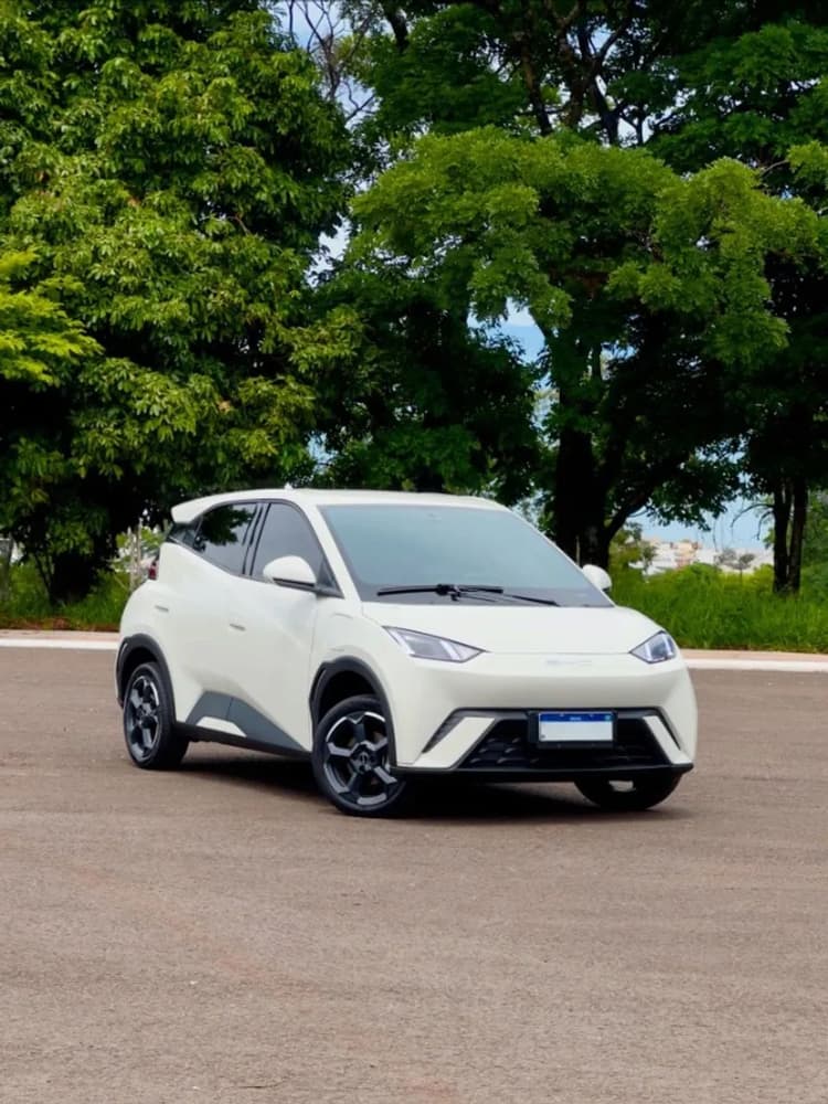 BYD Dolphin Mini (Elétrico) 2024