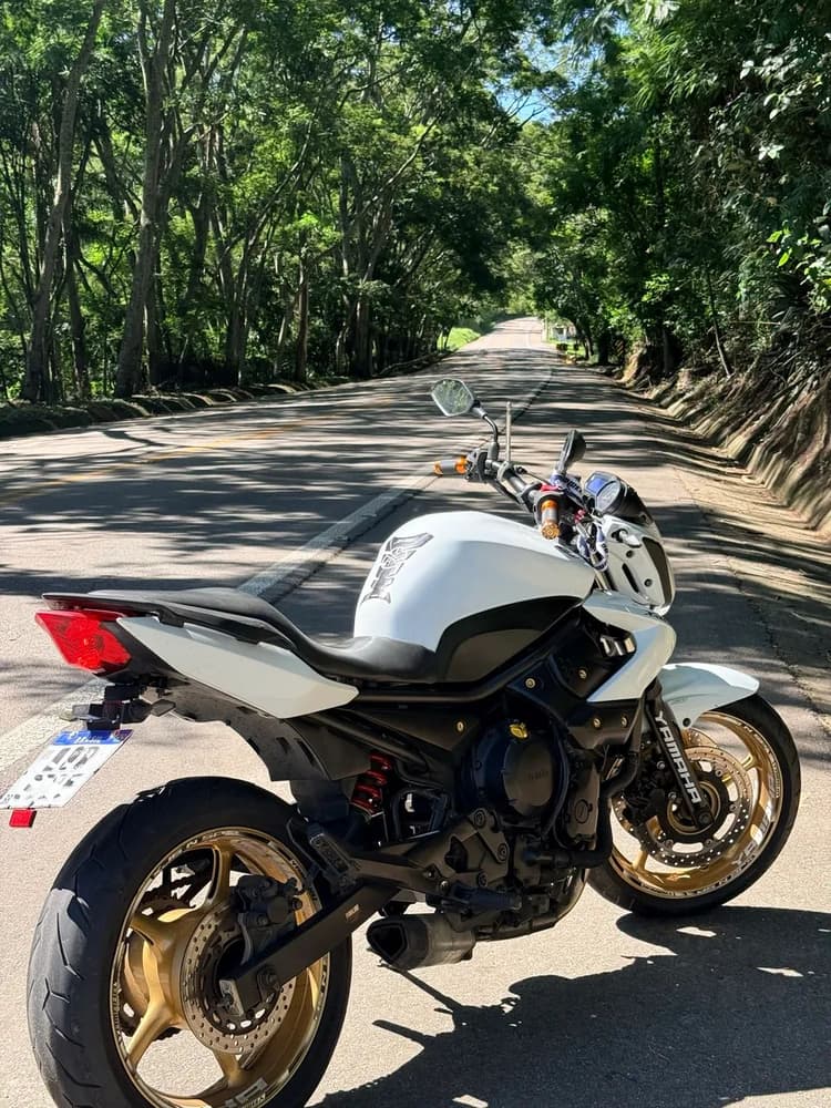 XJ6 vendo