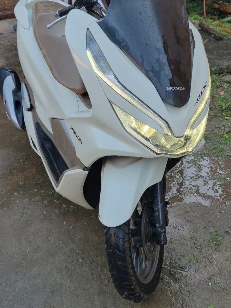 Pcx  2019 DLX